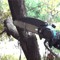 6Inch Mini Electric Chainsaw 1700RPM Portable Mini Electric Chainsaw For OneHand Wood Cutting 2