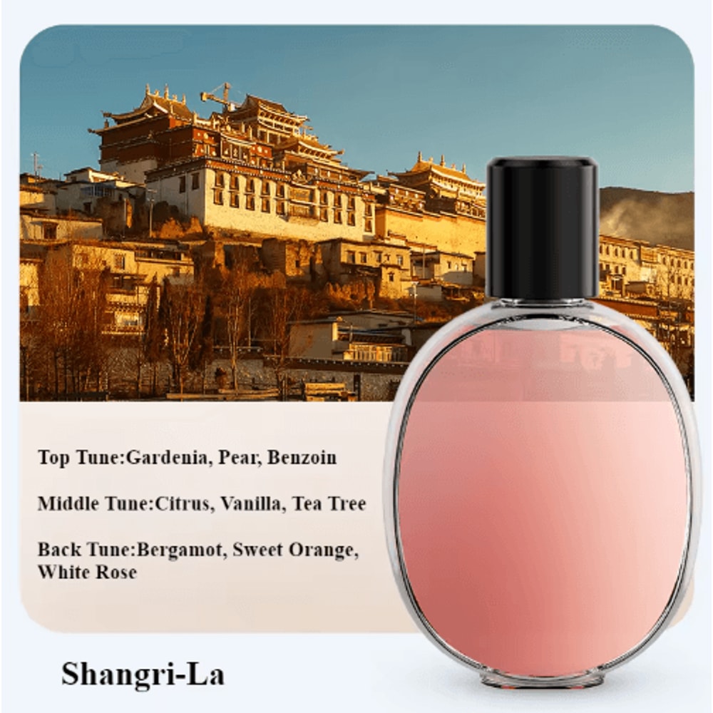 Automatic Aroma Diffuser Air Freshener Essential Oil Bathroom Fragrance Dispenser 3