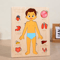 Montessori Human Body Busy Board Educational Puzzle Body Parts Learning Toy For Toddlers 3