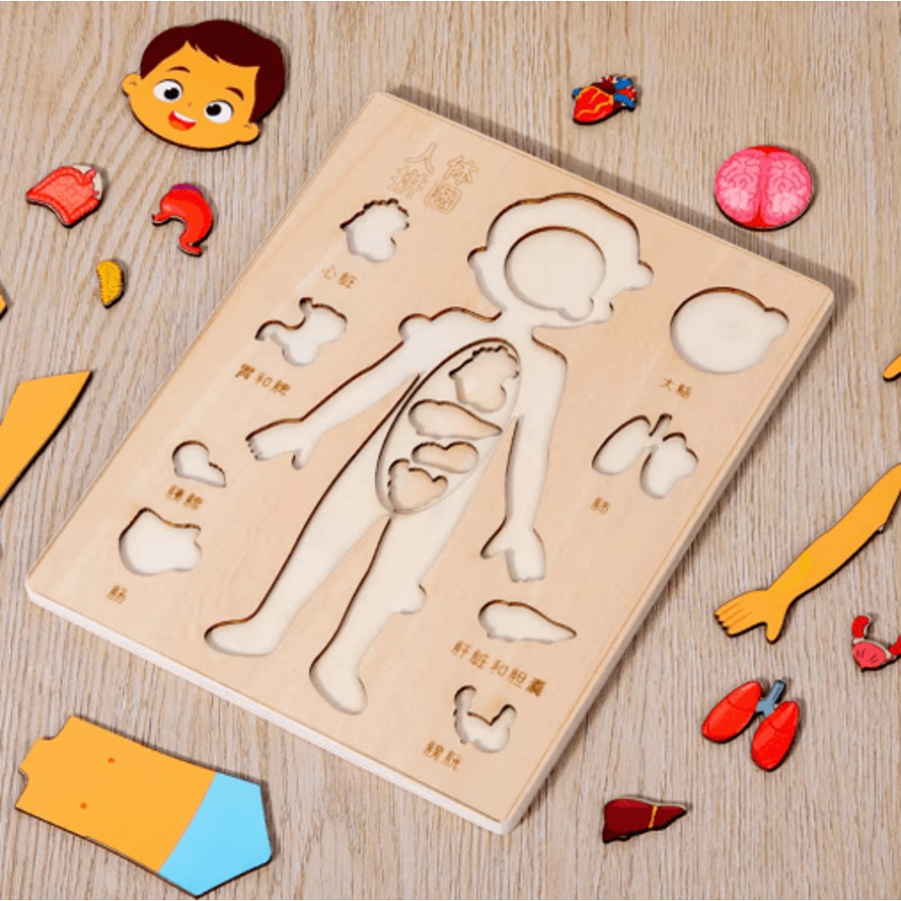 Montessori Human Body Busy Board Educational Puzzle Body Parts Learning Toy For Toddlers 7
