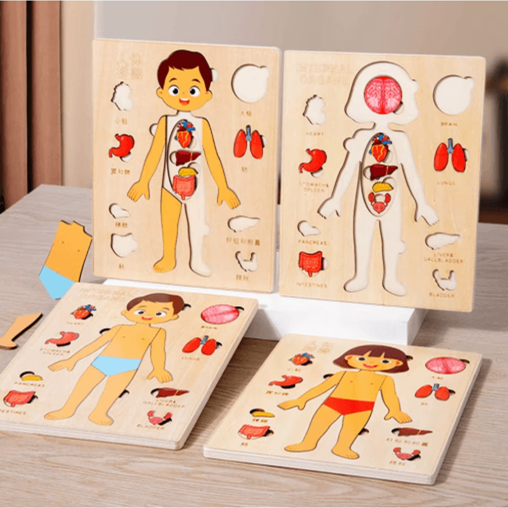 Montessori Human Body Busy Board Educational Puzzle Body Parts Learning Toy For Toddlers 0