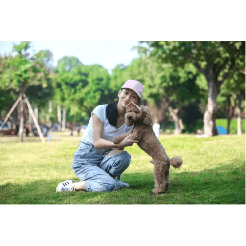 Adjustable Dog Baseball Cap Cute Pet Sun Hat With Ear Holes For Outdoor Use 9