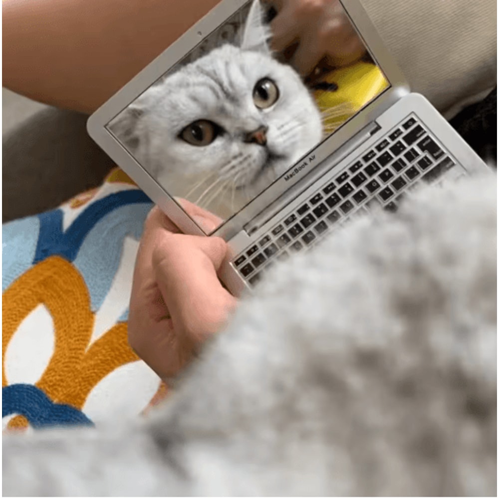 Mini Cat Laptop Toy Mirror Interactive Dollhouse Computer For Kittens 4