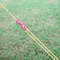 Reflective Tent Ropes Set Windproof Adjustable Camping Guy Lines With Buckles 4
