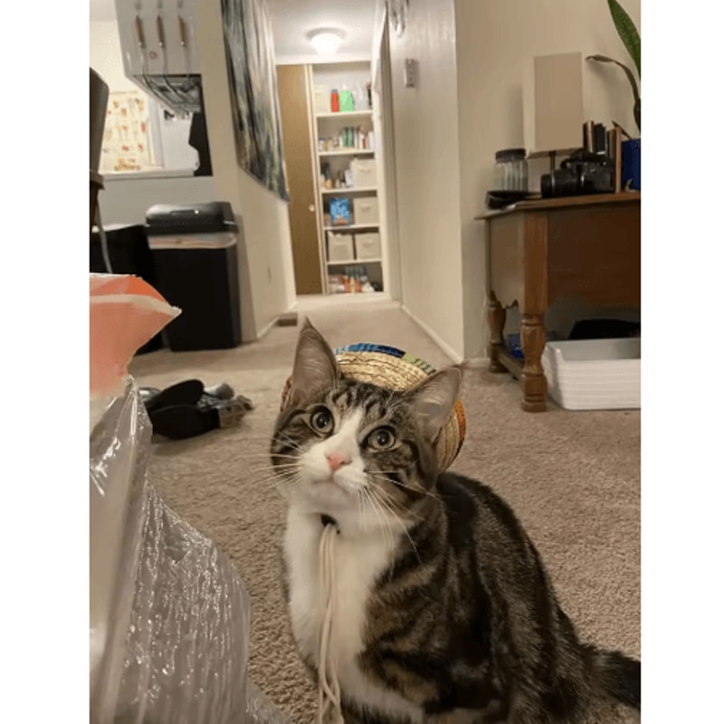 Pet Summer Sun Hat Adjustable Breathable Cat Dog Fashion Hat 5