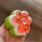Watermelon Cat Paw Squishy Toy Slow Rising Cute Stress Relief Squeeze Gift 5