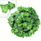 EverGreen Artificial Ivy Garland Realistic Hanging Vine Decor For Home Events 4