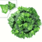 EverGreen Artificial Ivy Garland Realistic Hanging Vine Decor For Home Events 4
