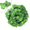 SilkLeaf Artificial Ivy Garland Realistic Hanging Vine Decor For Home Events 4
