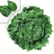 NatureDrape Artificial Ivy Vine Garland Realistic Hanging Leaf Decor For Home Events 3