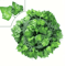 NatureDrape Artificial Ivy Vine Garland Realistic Hanging Leaf Decor For Home Events 4