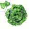 NatureDrape Artificial Ivy Vine Garland Realistic Hanging Leaf Decor For Home Events 4