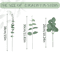EverGreen Bulk Eucalyptus Stems Set Mixed Silver Dollar Artificial Leaves 3060120PCS 8