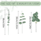 EverGreen Bulk Eucalyptus Stems Set Mixed Silver Dollar Artificial Leaves 3060120PCS 8