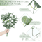 EverGreen Bulk Eucalyptus Stems Set Mixed Silver Dollar Artificial Leaves 3060120PCS 9