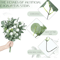 EverGreen Bulk Eucalyptus Stems Set Mixed Silver Dollar Artificial Leaves 3060120PCS 9