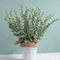 Artificial Eucalyptus Stems Set Realistic Greenery For Wedding Home Decor 3