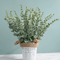 Artificial Eucalyptus Stems Set Realistic Greenery For Wedding Home Decor 3
