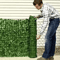 Artificial Ivy Privacy Fence Panel UV Resistant Green Wall Screen For Indoor Outdoor 1