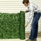 Artificial Ivy Privacy Fence Panel UV Resistant Green Wall Screen For Indoor Outdoor 1