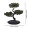 Artificial Japanese Pine Bonsai Tree Realistic Mini Plant For Desk Home Decor 3