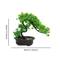 Artificial Japanese Pine Bonsai Tree Realistic Mini Plant For Desk Home Decor 4