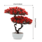 Artificial Japanese Pine Bonsai Tree Realistic Mini Plant For Desk Home Decor 7