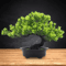 Artificial Japanese Pine Bonsai Tree Realistic Mini Plant For Desk Home Decor 8