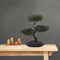 Artificial Japanese Pine Bonsai Tree Realistic Mini Plant For Desk Home Decor 9