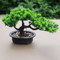 Artificial Japanese Pine Bonsai Tree Realistic Mini Plant For Desk Home Decor 11