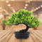 Artificial Japanese Pine Bonsai Tree Realistic Mini Plant For Desk Home Decor 14