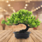 Artificial Japanese Pine Bonsai Tree Realistic Mini Plant For Desk Home Decor 14