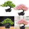 Artificial Japanese Pine Bonsai Tree Realistic Mini Plant For Desk Home Decor 0