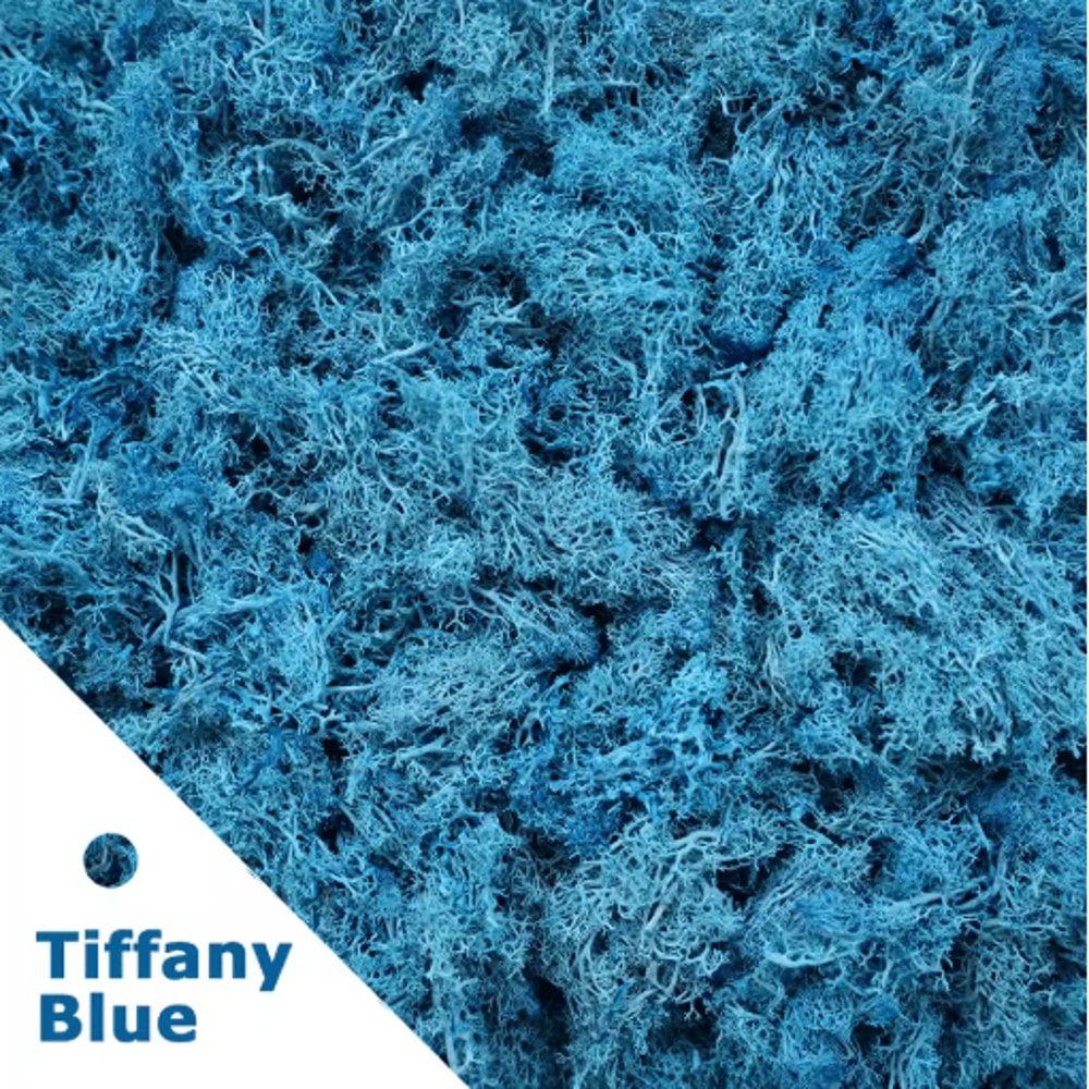 Artificial Moss Grass Decor 200g Mini Landscape Greenery For DIY Home Styling 7