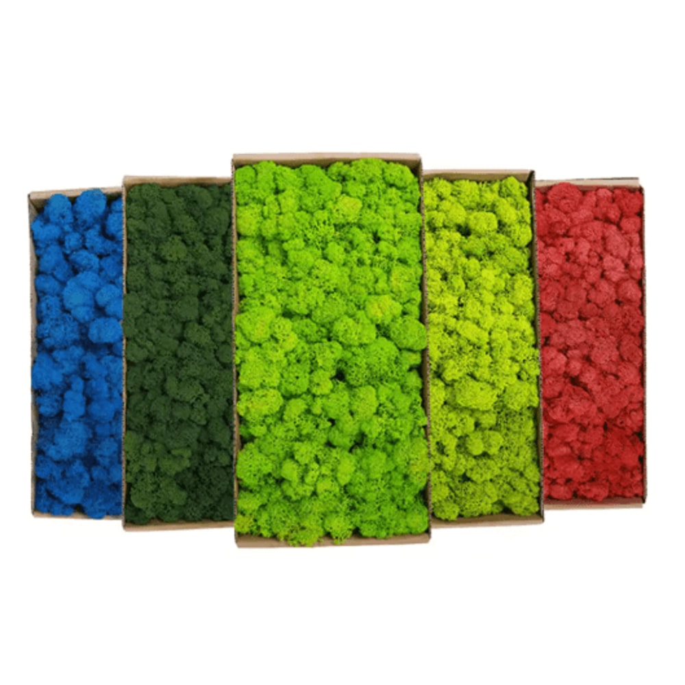 Artificial Moss Grass Decor 200g Mini Landscape Greenery For DIY Home Styling 0