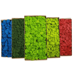 artificial moss grass decor 200g mini landscape greenery for diy & home styling