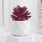 Artificial Succulent Bonsai Set Mini Evergreen Cactus Plants For Desk Home Decor 1