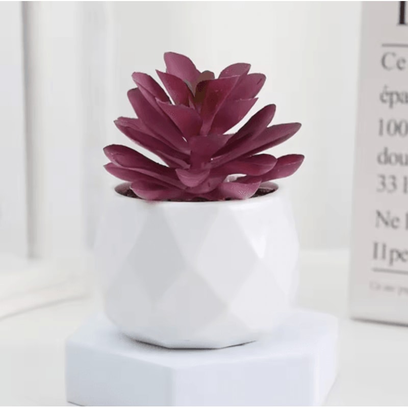 Artificial Succulent Bonsai Set Mini Evergreen Cactus Plants For Desk Home Decor 1