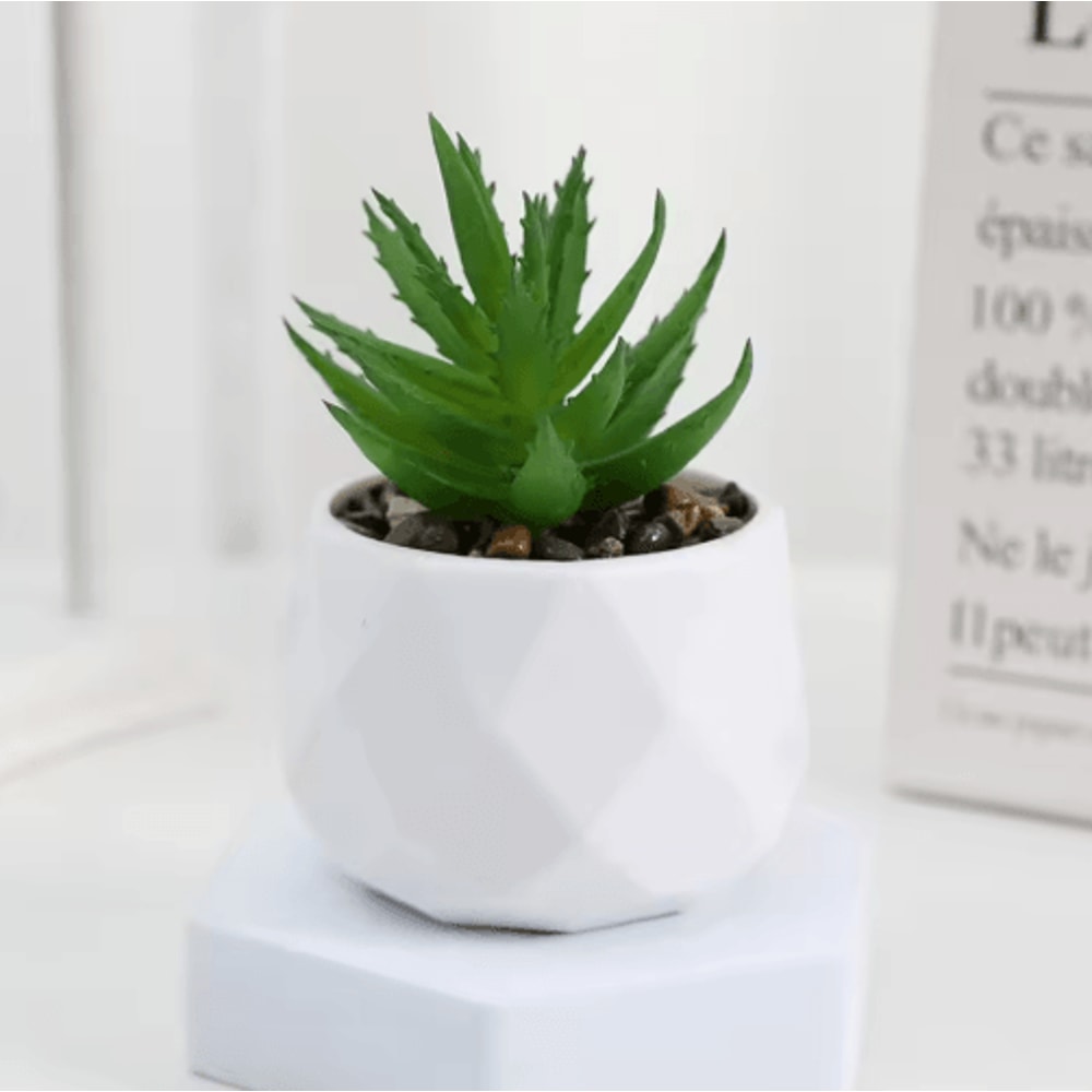 Artificial Succulent Bonsai Set Mini Evergreen Cactus Plants For Desk Home Decor 3