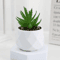 Artificial Succulent Bonsai Set Mini Evergreen Cactus Plants For Desk Home Decor 3