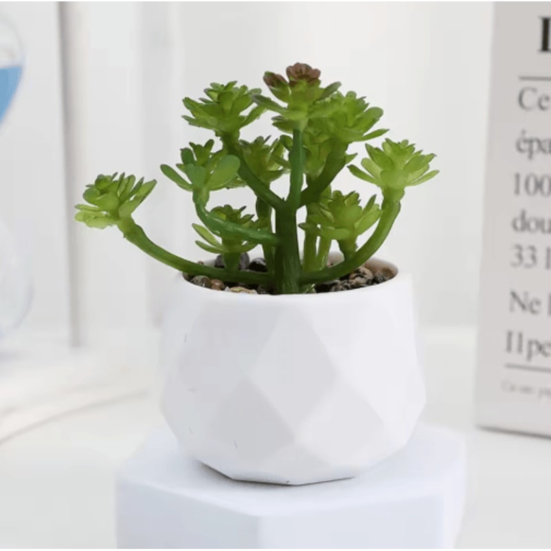Artificial Succulent Bonsai Set Mini Evergreen Cactus Plants For Desk Home Decor 5