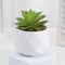Artificial Succulent Bonsai Set Mini Evergreen Cactus Plants For Desk Home Decor 7