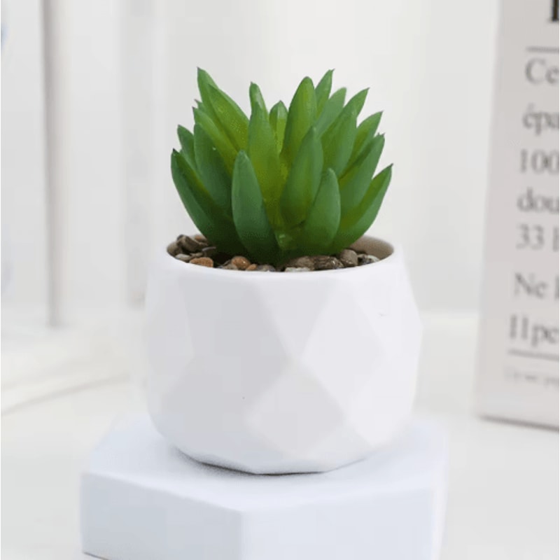 Artificial Succulent Bonsai Set Mini Evergreen Cactus Plants For Desk Home Decor 9