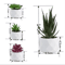 Artificial Succulent Bonsai Set Mini Evergreen Cactus Plants For Desk Home Decor 11