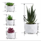Artificial Succulent Bonsai Set Mini Evergreen Cactus Plants For Desk Home Decor 11