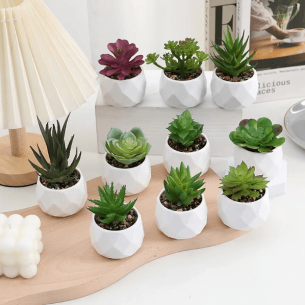 Artificial Succulent Bonsai Set Mini Evergreen Cactus Plants For Desk Home Decor 0