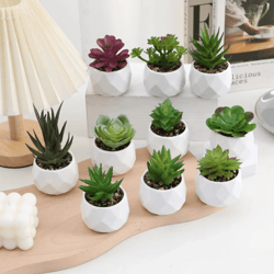 artificial succulent bonsai set – mini evergreen cactus plants for desk & home decor