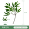 Artificial Eucalyptus Greenery Arrangement Realistic Fake Plant Decor For Home Weddings 18