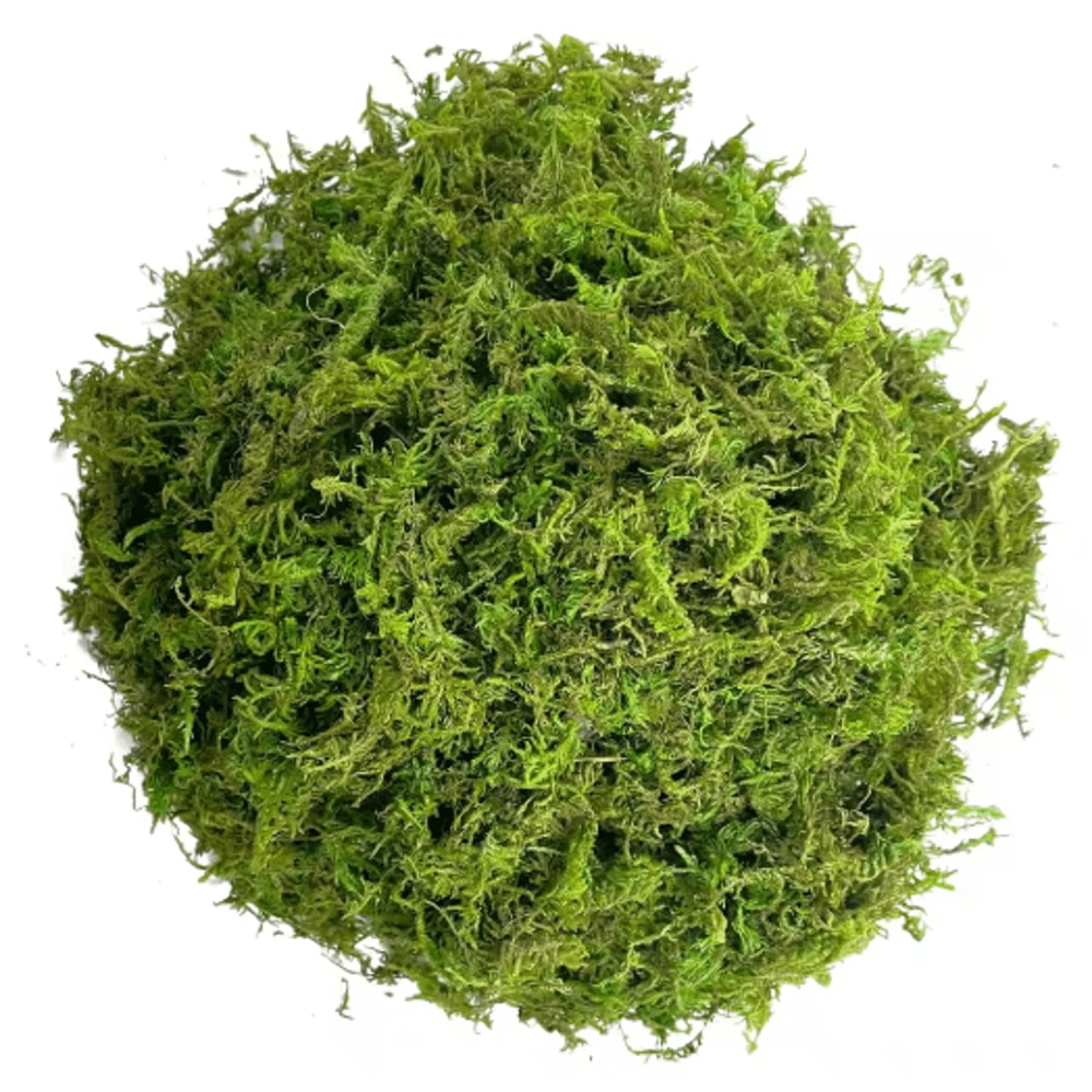 Artificial Green Moss For Plants Crafts Decorative Orchid Potting Moss And DIY Decor Fill 1
