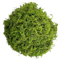 Artificial Green Moss For Plants Crafts Decorative Orchid Potting Moss And DIY Decor Fill 1